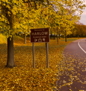 Harlow